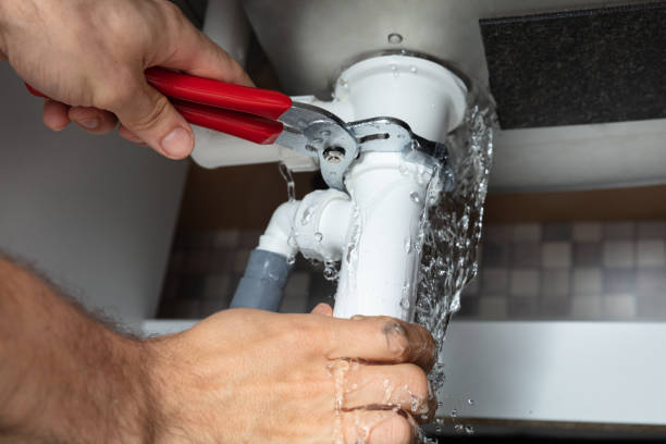 Best Water damage restoration mold remediation  in Town Line, NY