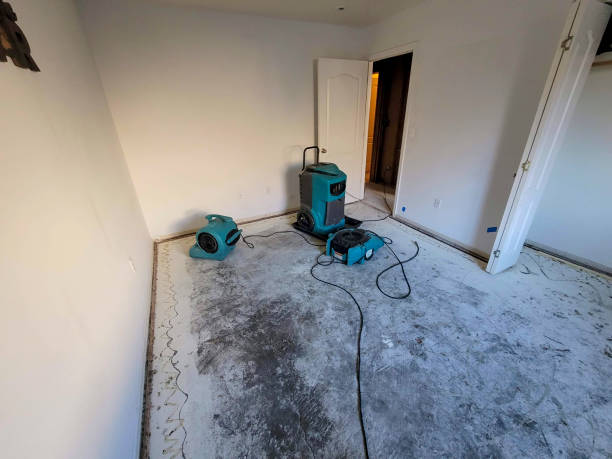 Best Water damage contractors near me  in Town Line, NY