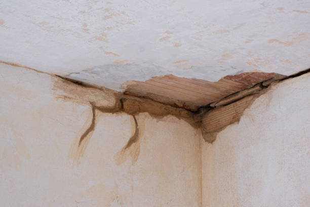 Water damage restoration insurance claims in Town Line, NY