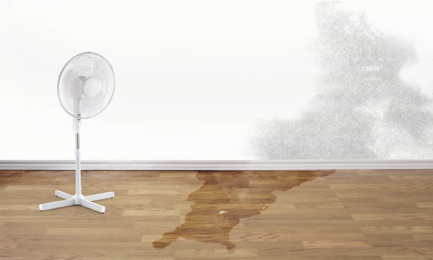 Best Water damage contractors near me  in Town Line, NY