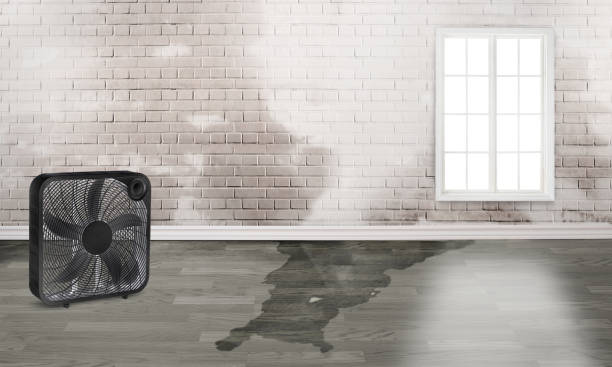 Best Fire Damage Restoration  in Town Line, NY
