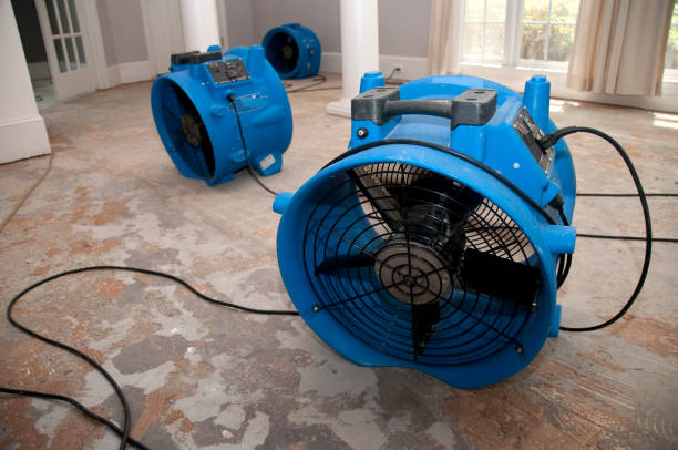 Best Carpet water damage restoration  in Town Line, NY