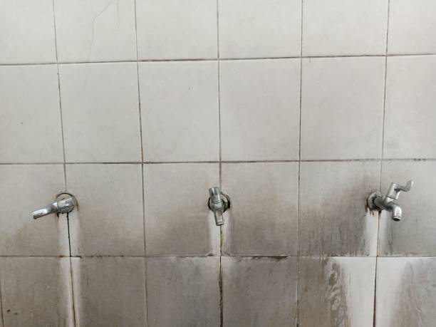 Best Water damage restoration near me  in Town Line, NY