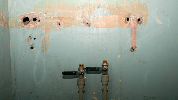 Professional Water damage restoration in Town Line, NY
