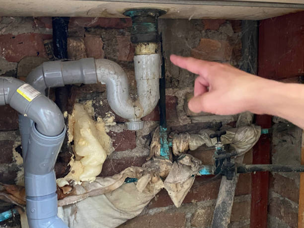 Best Local water damage restoration  in Town Line, NY
