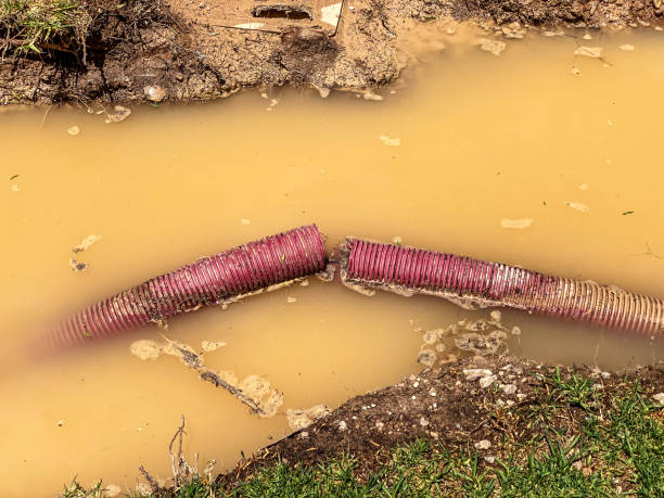 Best 24/7 water damage repair  in Town Line, NY
