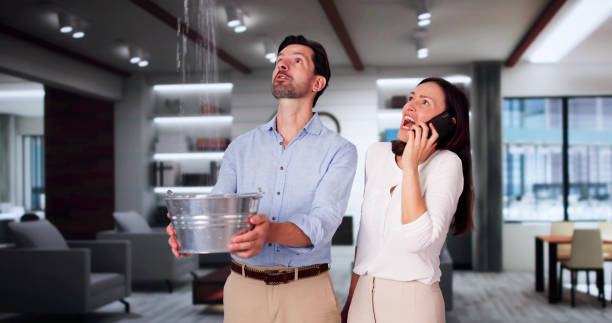 Best Flooded house restoration  in Town Line, NY