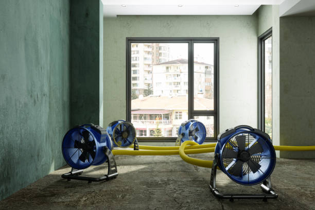 Best Residential water damage restoration  in Town Line, NY