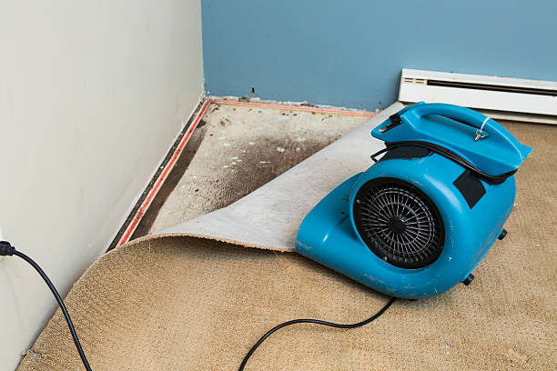 Best Fire Damage Restoration  in Town Line, NY
